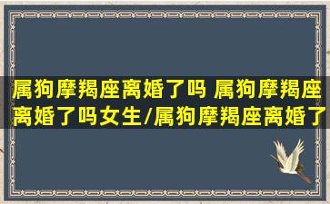 属狗摩羯座离婚了吗 属狗摩羯座离婚了吗女生/属狗摩羯座离婚了吗 属狗摩羯座离婚了吗女生-我的网站